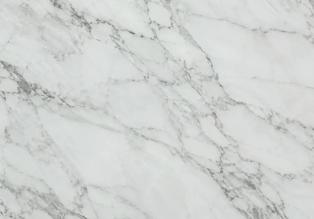 Guatemala Green marble price slab image with green and black, webbed veining and branching veins, and controlled reflections.