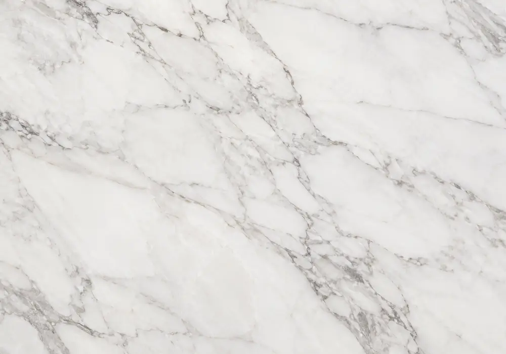Detailed Harmony Grey marble price slab with grey and brown, branching veins and clouded movement, across a luminous surface.