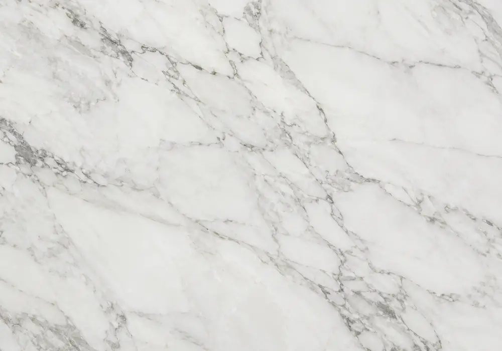 View Indus Gold marble Pakistan: gold and beige stone with branching veins and clouded movement, and balanced mineral detail.