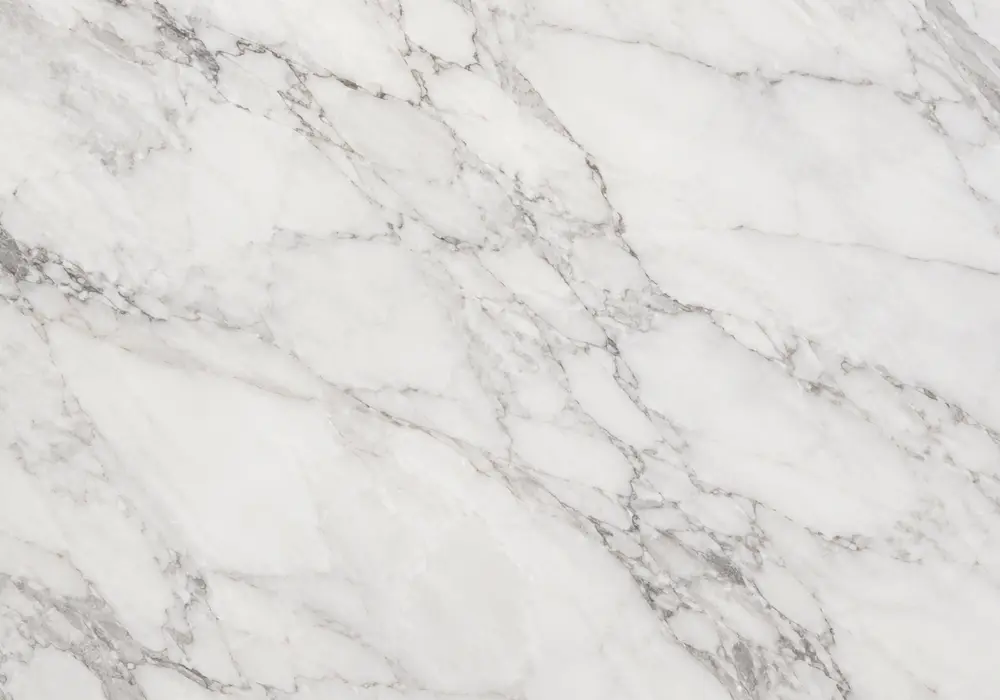 Detailed Jade Marble company slab with green and white, directional bands and branching veins, and fine geological texture.