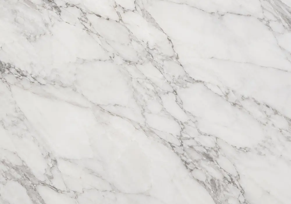 Lasa vs Carrara on kitchen, vanity and sculptural surfaces, comparing luminous Alpine white with cooler grey Carrara stone.