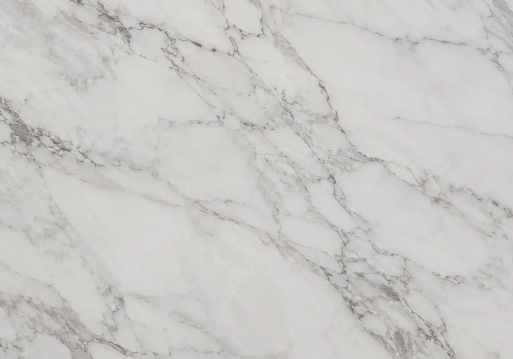 View Lavina Gray marble price: grey and white stone with fossil details and mineral specks, with refined crystalline detail.