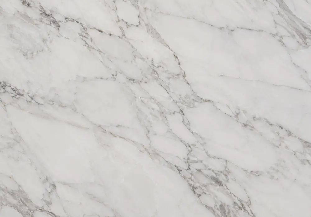 Light Grey Marble slabs displayed in a premium material gallery with elegant wall applications and finish samples
