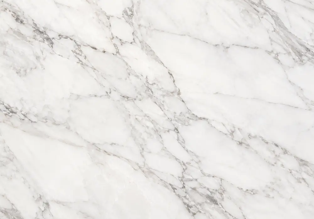 Marble black and white monochrome foyer wall with bold contrasting stone bands and dramatic natural veining