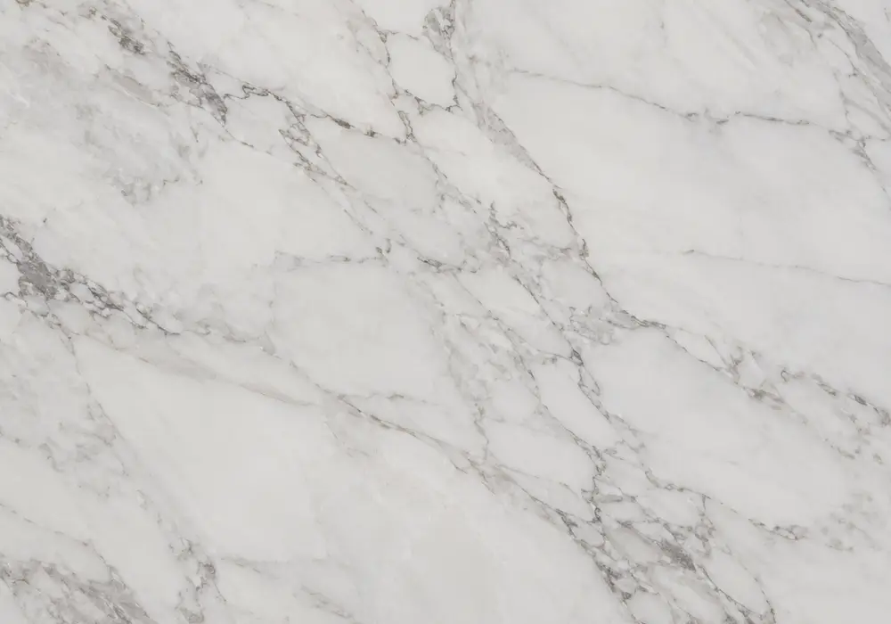 marble black and white floor slab: white and black, sweeping ribbons and branching veins, with refined crystalline detail.