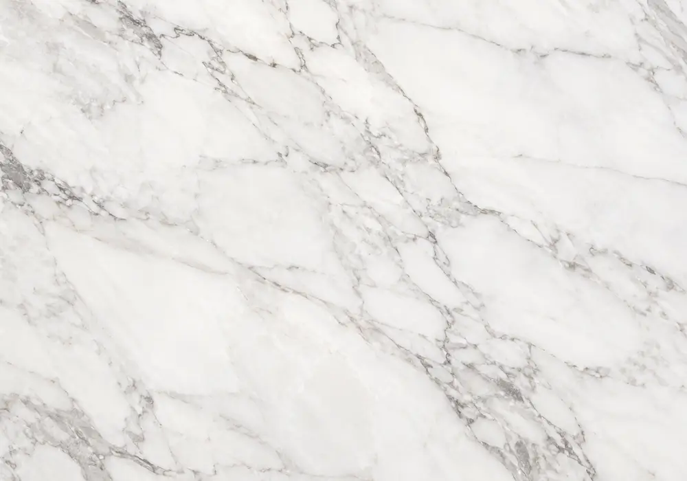 Spanish Marquina marble featured in a luxury powder room, showing authentic stone texture and refined architectural detail.