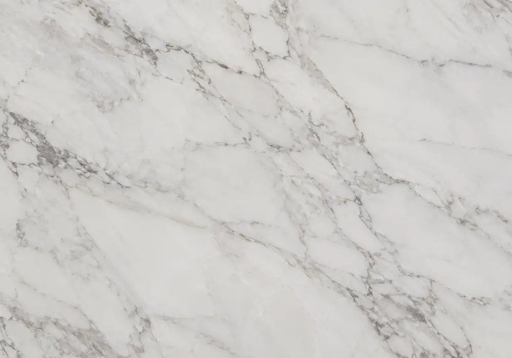 Marble Black Marquina price image featuring black and white, webbed veining and fossil details, with softly reflective depth.