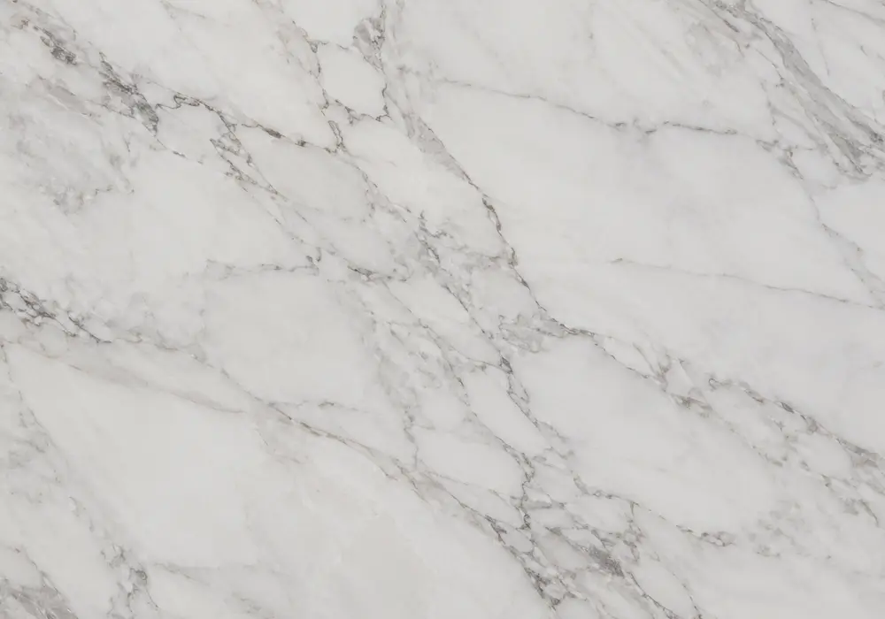 Marmara Marble reception feature wall in a premium stone showroom with upright slabs and refined finishes