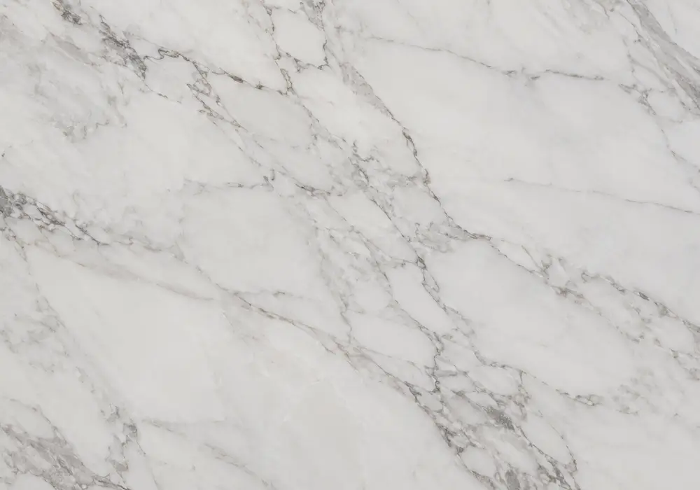 Marmara White Marble foyer reception wall in a premium architectural gallery with upright slabs and elegant finishes