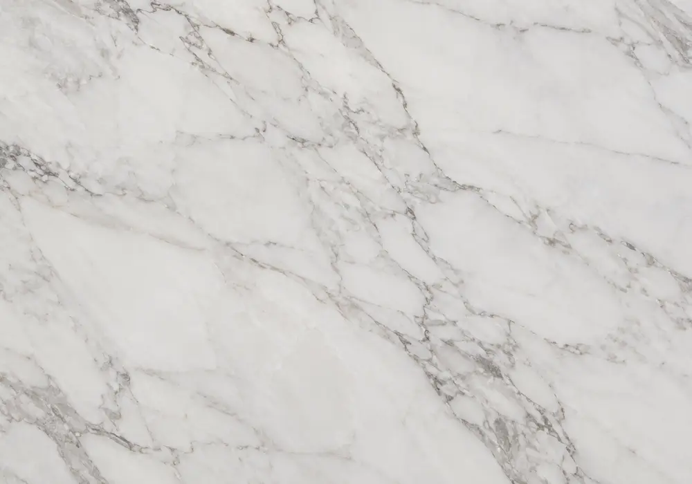 Marquina Black marble dramatic reception wall with deep black stone and sharp white calcite veins