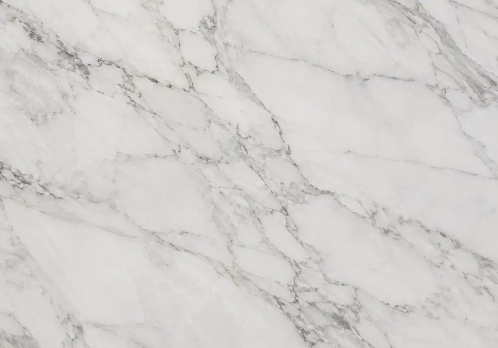 Negro Marquina marble featured in a luxury powder room, showing natural mineral detail and refined architectural character.
