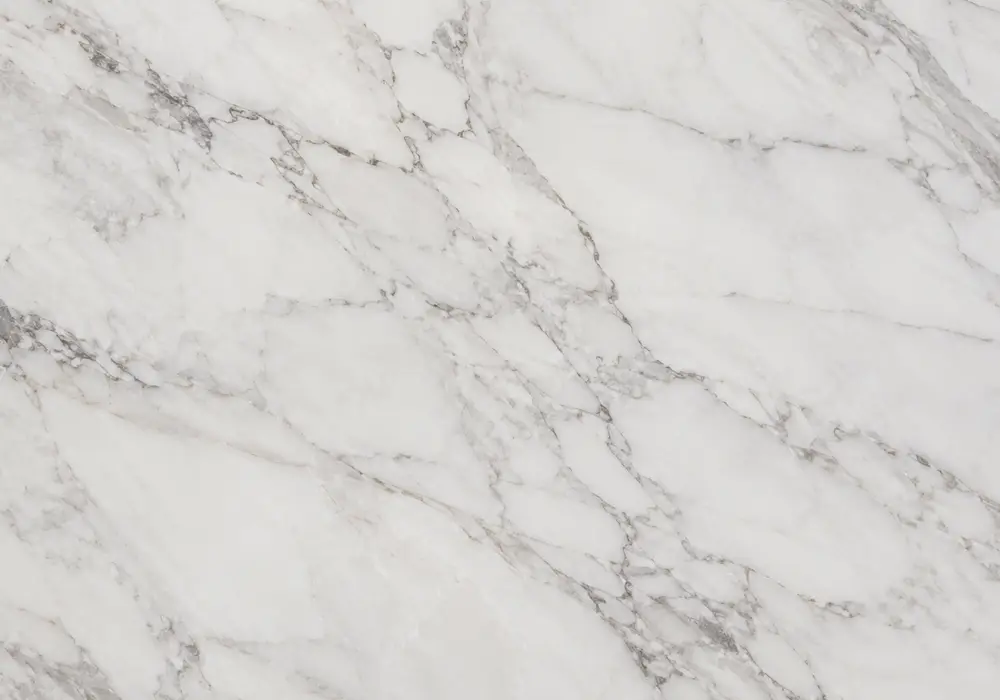 Marquina Black marble price image: black and white, sweeping ribbons and branching veins, with clear geological character.