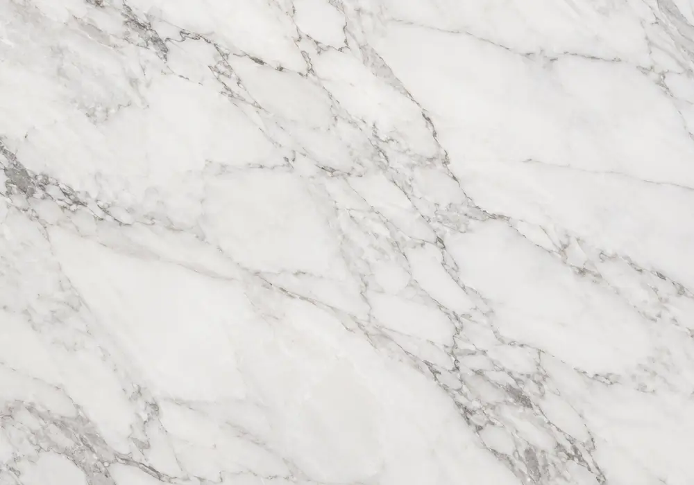 Marquina marble reception feature cladding with deep black stone and sharp white calcite veins.