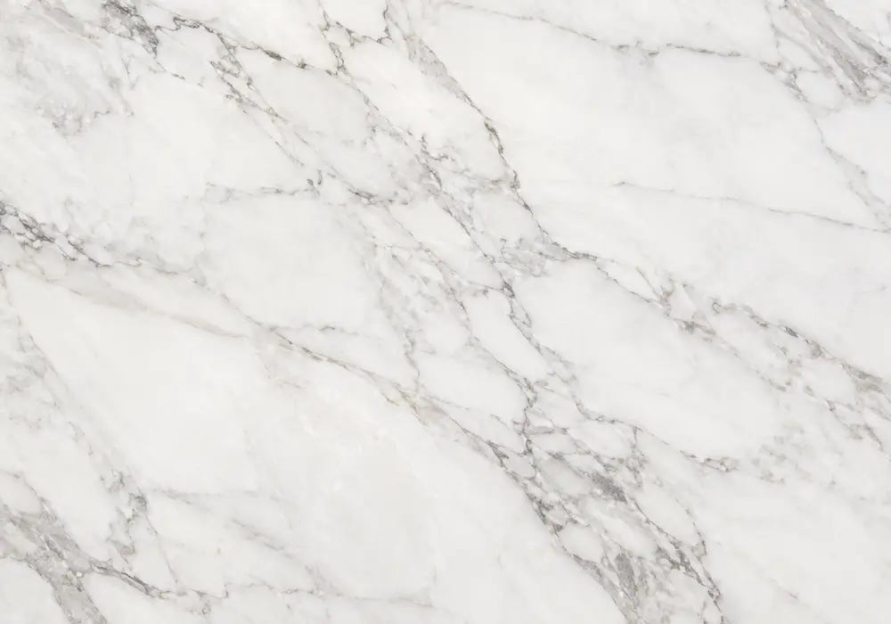 Polished Nero Marquina marble slab with a jet-black field, crisp white calcite veins, fossils and fine natural fractures.