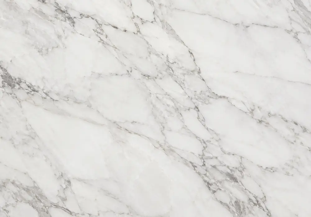 Mocha Cream marble elegant reception wall with warm cream limestone and refined linear beige grain.