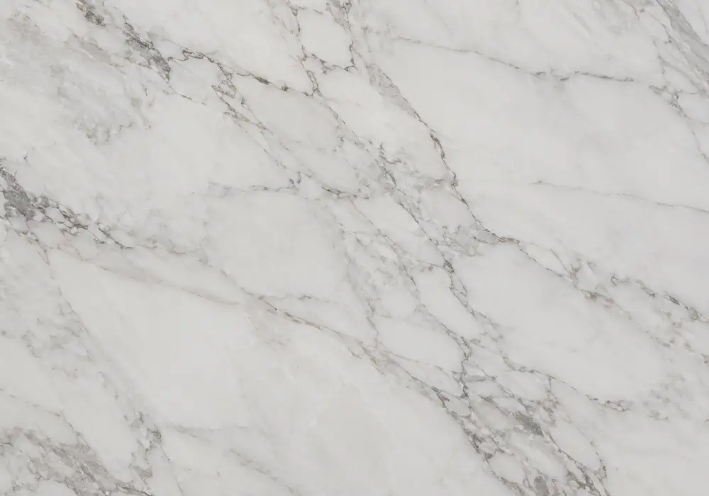 Morchana Marble reception feature wall with pale grey-white stone and irregular silver-grey veining.