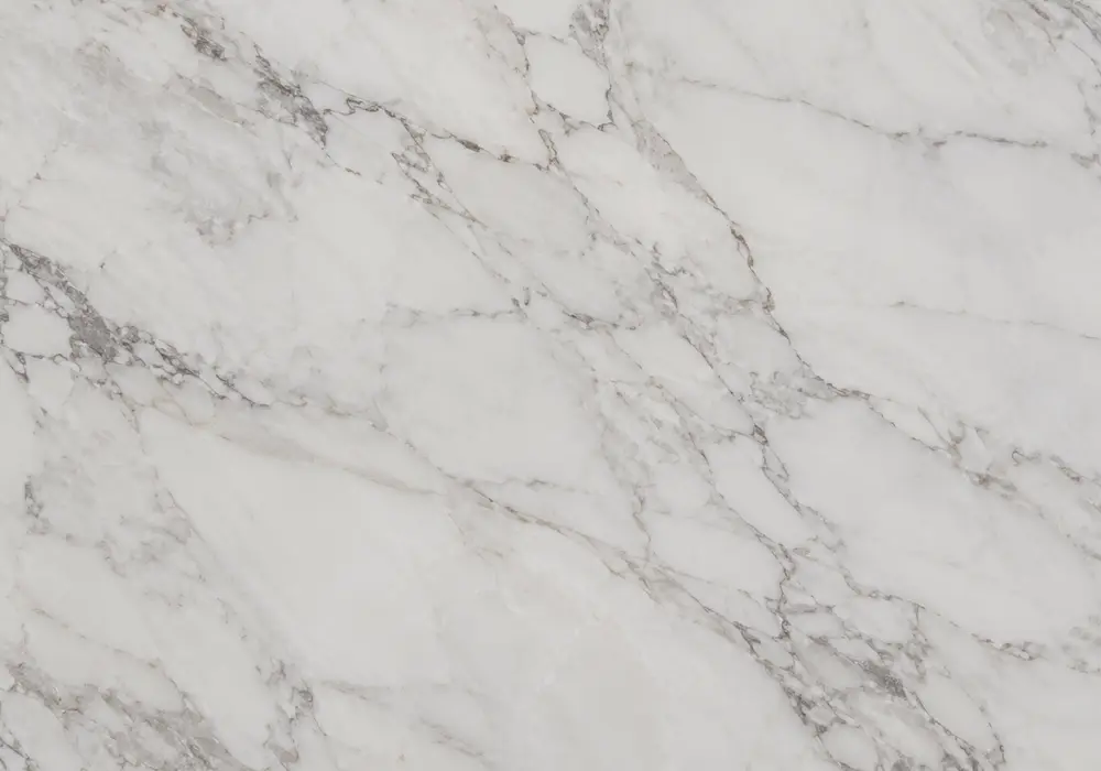 Explore morchana white marble in a milky slab with random silver-grey branches, smoky clouds and expressive charcoal streaks.