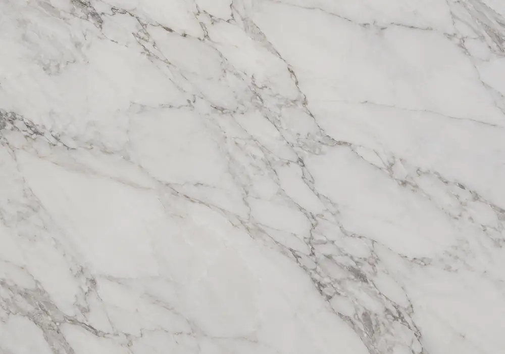 Danby vs Carrara on polished countertop, vanity and feature wall, comparing warm white slabs with flowing soft grey veining.