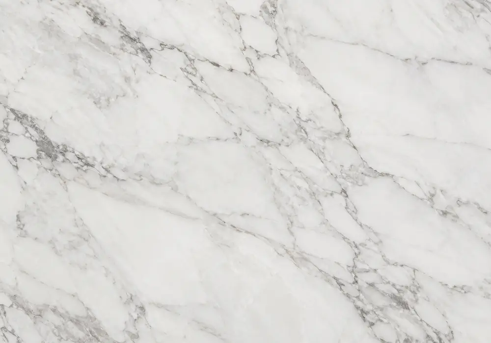 Oman Beige marble price slab featuring beige and cream, branching veins and fossil details, with refined crystalline detail.