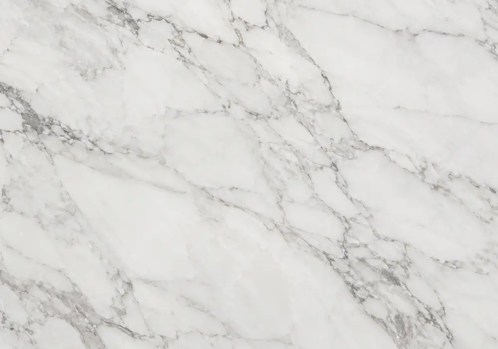 Warm Ottoman Beige marble price slab with cream-tan depth, fine brown lines, fossil-like details and delicate grey veins.