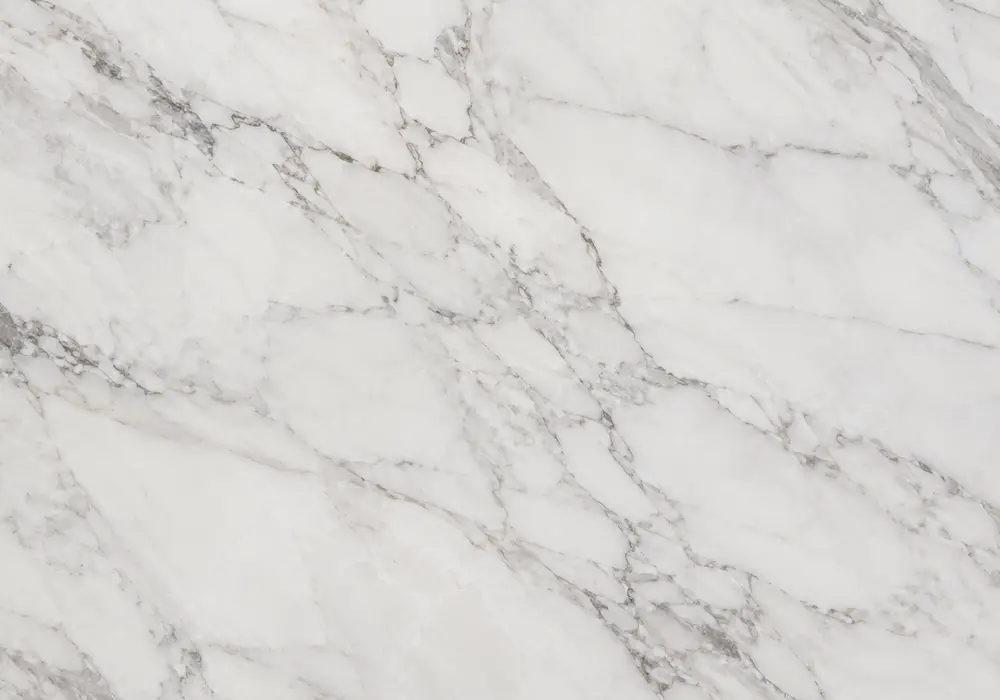 Pacific Oyster marble featured in a luxury living room, showing natural mineral detail and refined architectural character.