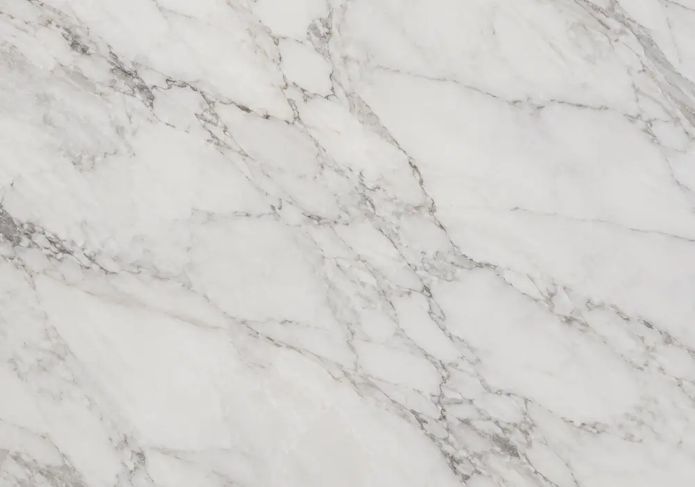Oyster marble price in polished white and black stone with branching veins and mineral islands, with authentic stone texture.
