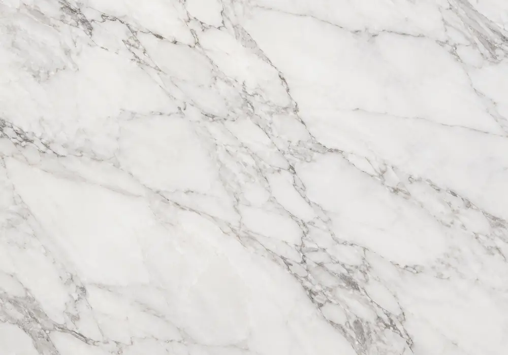 Calacatta Panda stone slabs arranged for bookmatching beside a statement wall and island with polished and honed samples.