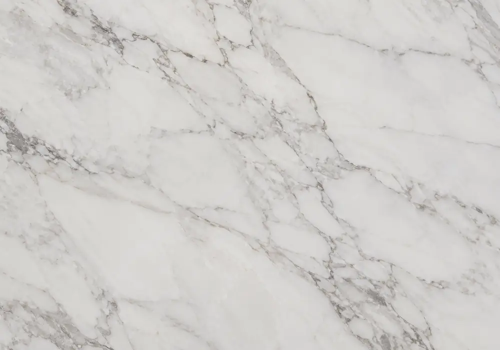 Indian Panda marble in a luxury living space, showing authentic veining, realistic finishes and balanced interior lighting.