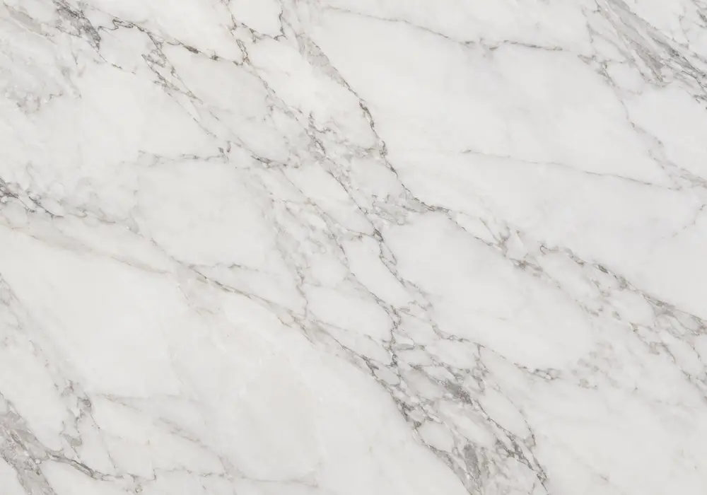 Expressive black ribbons sweep across luminous Panda Marble, supporting accurate Panda Marble disambiguation for this stone.