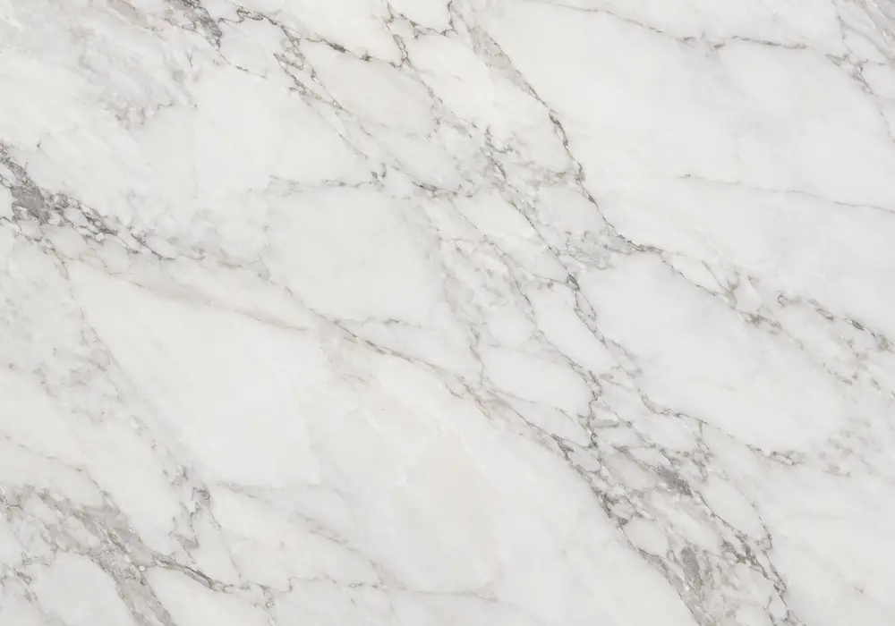Refined slab for Phoenix marble price, presenting beige and cream, branching veins and fine pores, across a luminous surface.