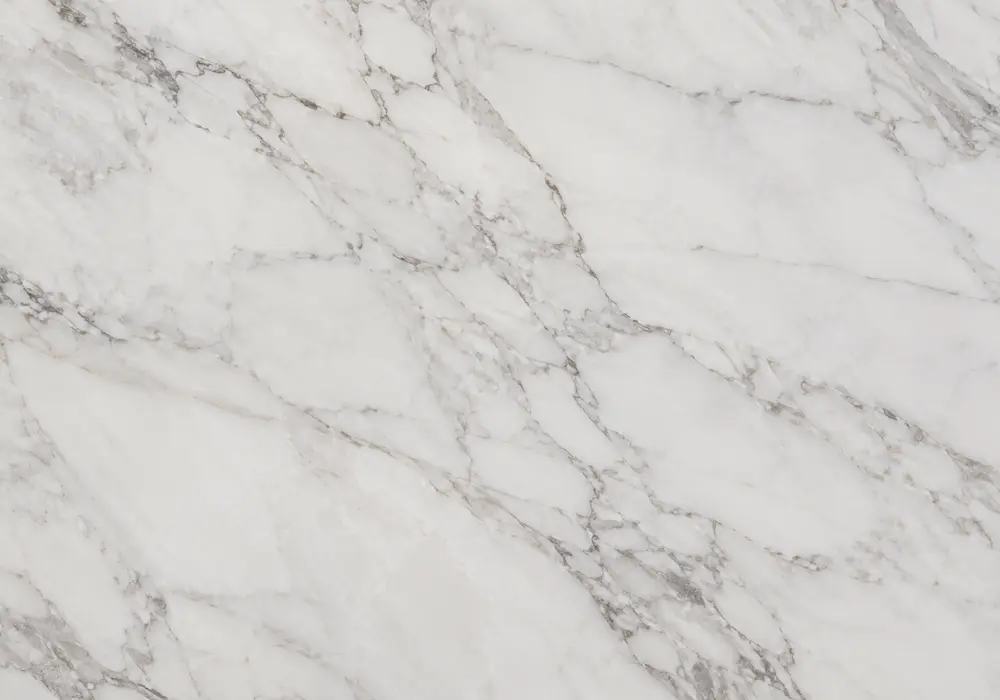 Pietrasanta Marble luxury reception wall with luminous white stone and soft blue-grey and taupe veining.