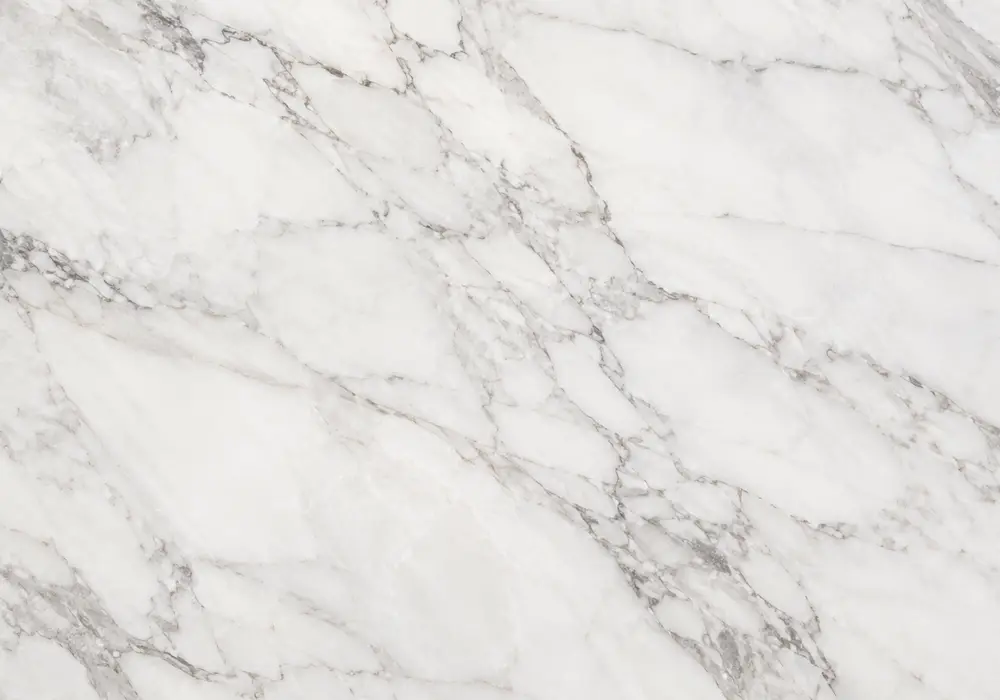 Portoro Marble foyer reception wall in a premium architectural gallery with upright slabs and elegant finishes