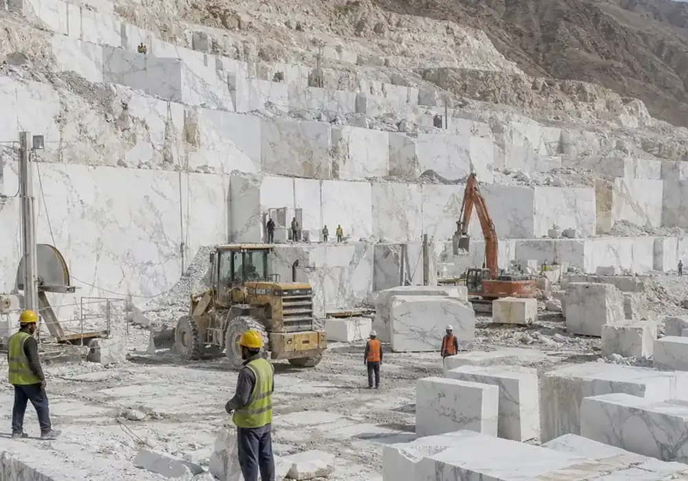 Pure white marble luxury lobby wall with luminous crystalline white stone and minimal natural movement.