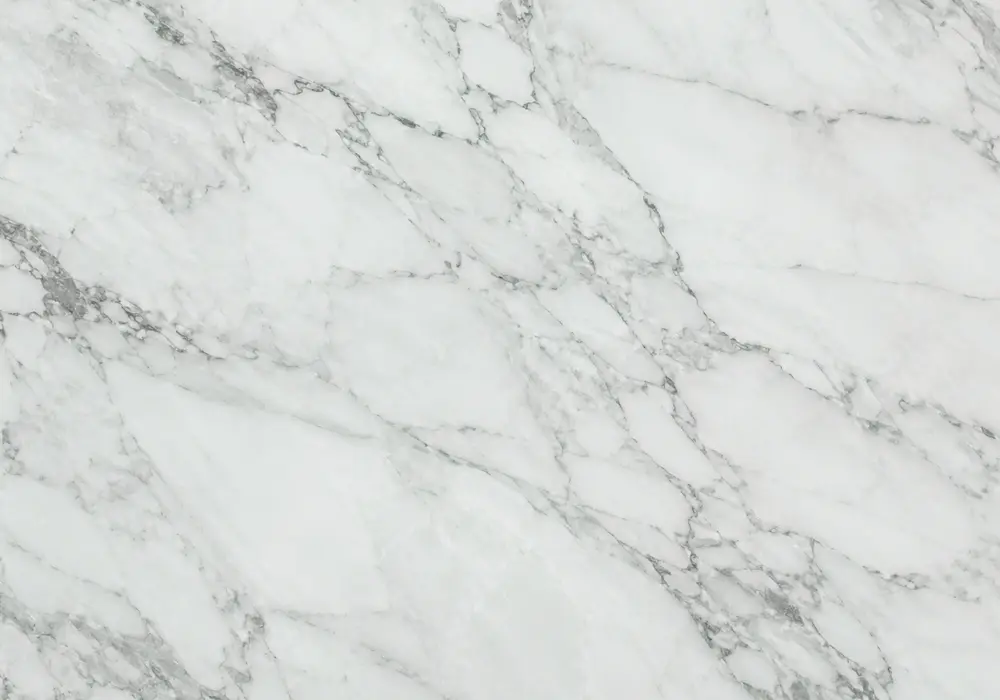 Rain Forest Green marble price image featuring green and grey, branching veins and natural veining, plus fine mineral depth.