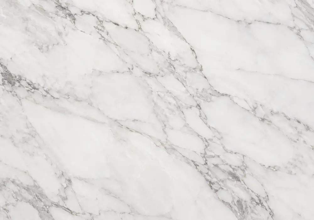 Rainforest marble organic reception feature wall with earthy green-brown stone and branching root-like veins