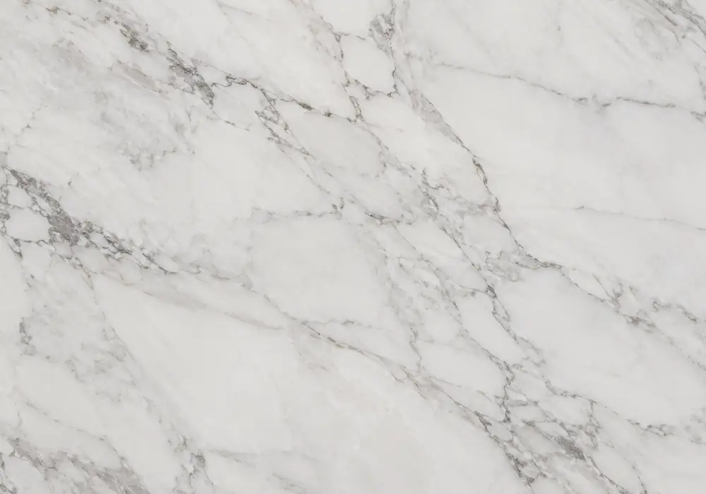 Rainforest Brown marble featured in a sophisticated lounge, showing realistic stone depth and refined architectural detail.
