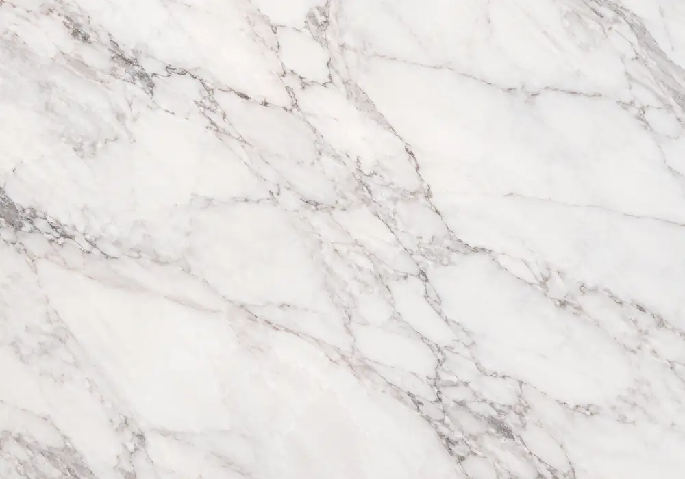 Red Levanto Marble bookmatched reception wall with deep burgundy stone and striking white calcite veins.