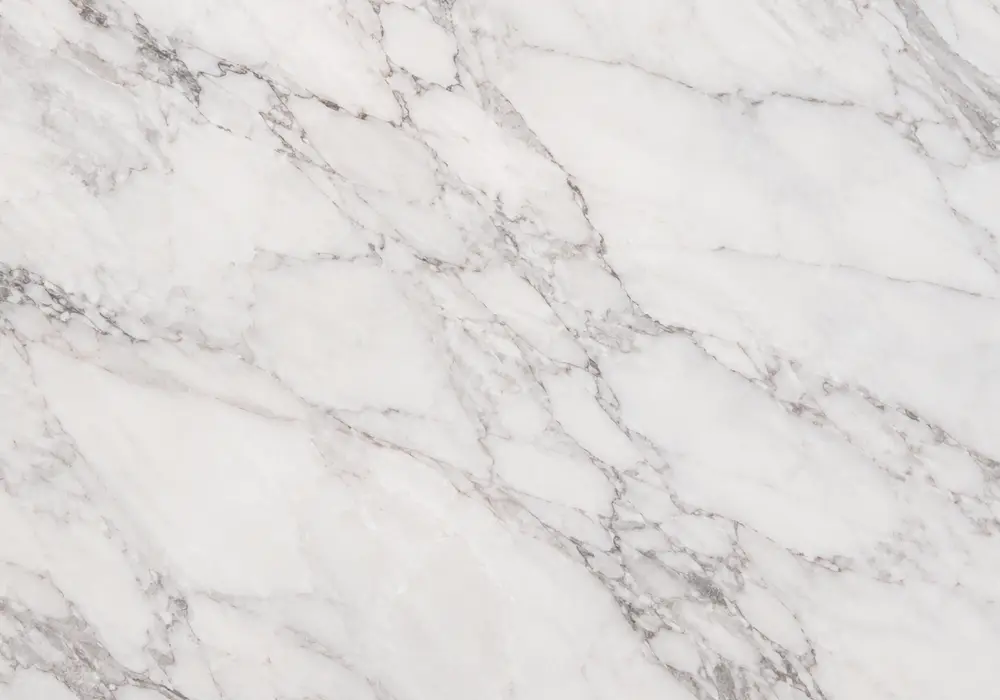 Polished red marble types slab with brick-red, terracotta and burgundy zones, white branching veins and fossil-rich patches.