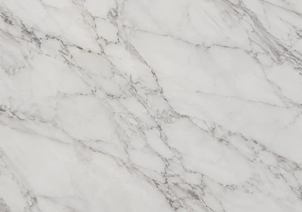 Rojo Alicante marble price displayed in red and white tones with webbed veining and branching veins, plus fine mineral depth.