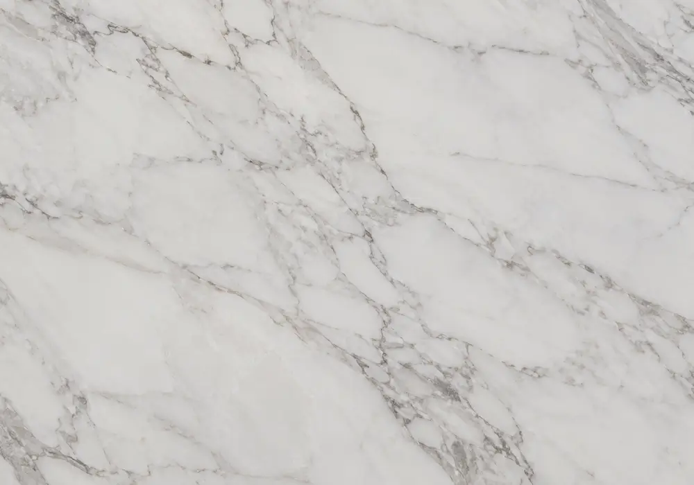 Rosso marble types slab featuring red, white and grey, brecciated fragments and fossil details, with smooth luminous depth.