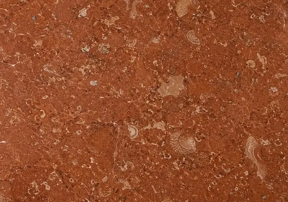 Rosso Verona vs Rosso Levanto on fireplace and countertop, comparing earthy fossil-rich red with darker white-veined stone.
