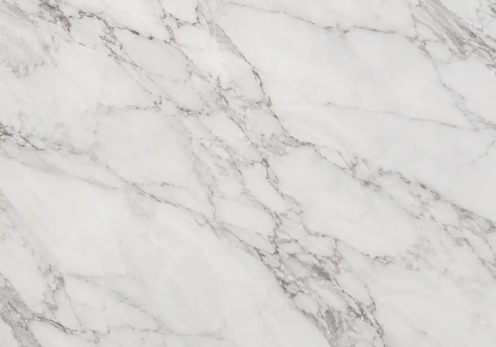 Silver Dragon marble price slab image with grey and white, sweeping ribbons and branching veins, and natural tonal variation.