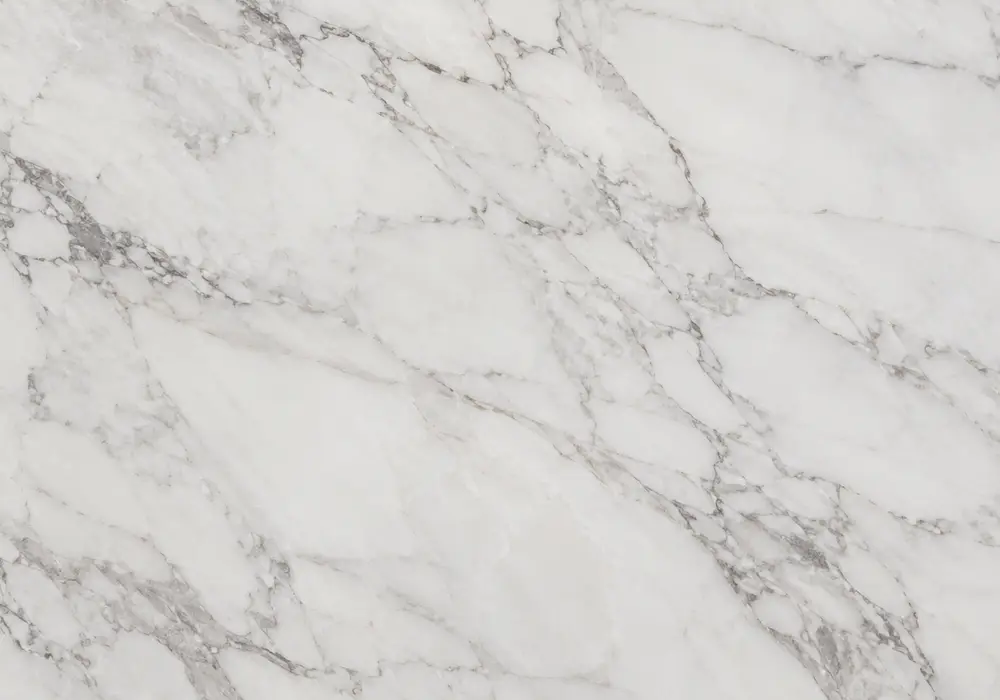 Close slab view for Silver Roots marble, showing grey and brown, fossil details and natural veining, plus fine mineral depth.