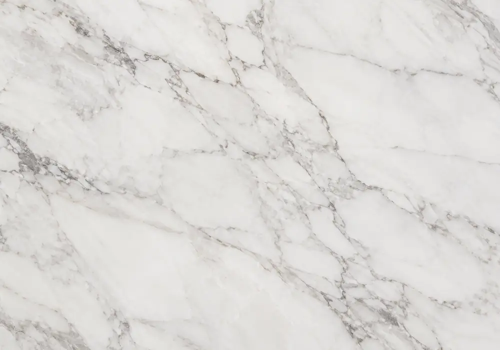 Silver Root marble bookmatched wall panel with silver-grey stone and branching charcoal, brown-gold and white veins.