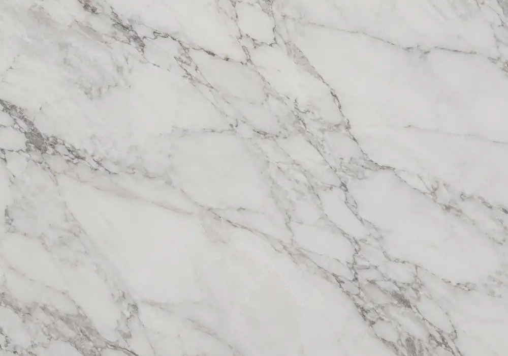 View Silver Root marble price: grey and brown stone with branching veins and natural veining, with elegant natural movement.