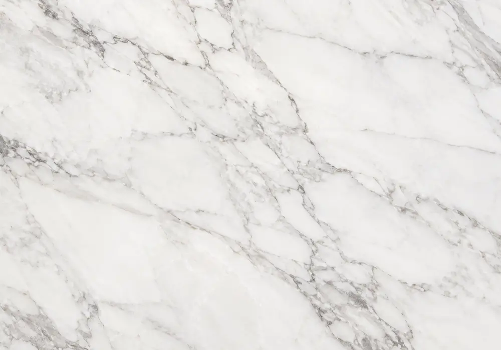 Snow White marble slab in a luxury spa bathroom, showing natural veining, polished depth and refined architectural detail.