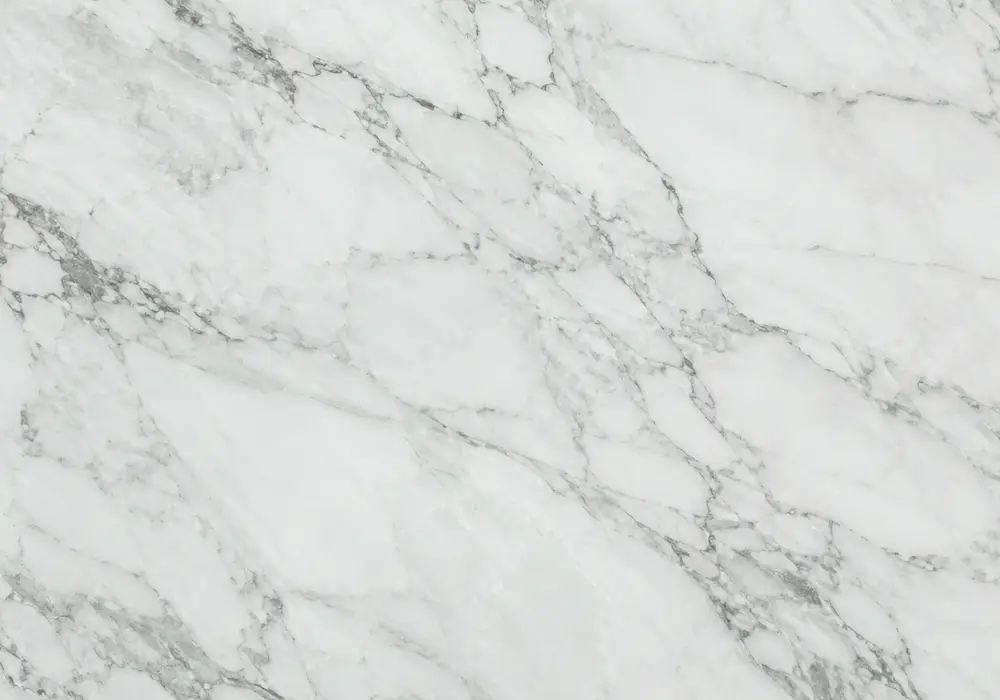 Rajasthan green marble in a luxury powder room, showing natural veining, polished depth and refined architectural detail.