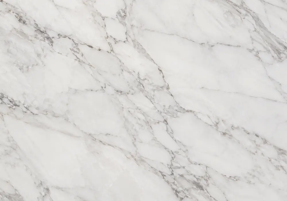 Nero St Laurent marble featured in a sophisticated lounge, with realistic stone depth and refined architectural detailing.