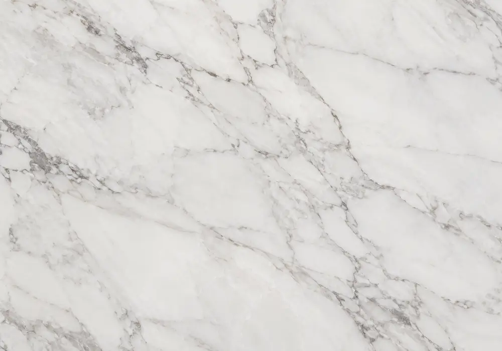 Statuarietto marble elegant reception wall with bright white stone and refined soft-grey architectural veins