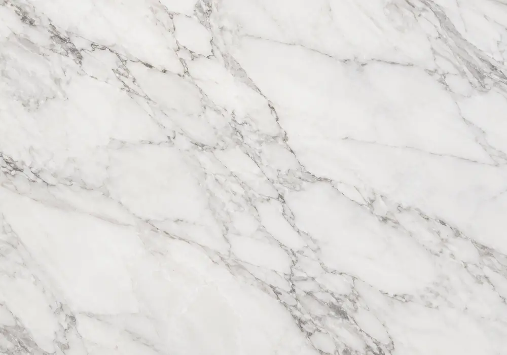Sunny Gray marble tiles and slabs in polished and honed grades with fossil-rich greige tones and export-ready crates in UAE